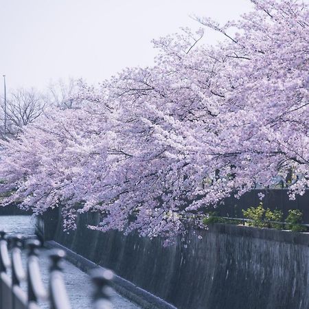 Kamo River J~House Kyoto Luaran gambar